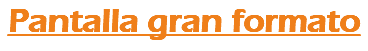 Pantalla gran formato